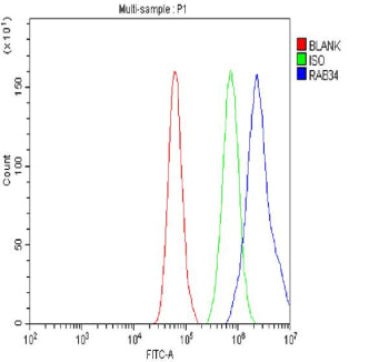 Flow Cytometry analysis of cells using anti-RAB34 antibody. Overlay histogram showing cells stained 