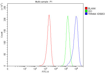 Flow Cytometry analysis of MCF-7 cells using anti-TRIM44 antibody. Overlay histogram showing MCF-7 c