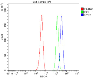 Flow Cytometry analysis of HEL cells using anti-SYF2 antibody. Overlay histogram showing HEL cells s