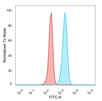 IRF3 Antibody