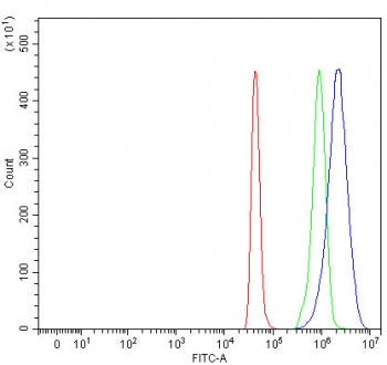 CRABP1 Antibody / Cellular retinoic acid-binding protein 1