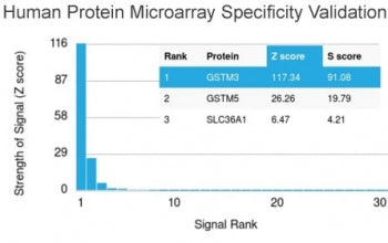 Analysis of HuProt(TM) microarray containing more than 19,000 full-length human proteins using GSTM3