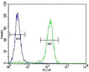 Cyclin C antibody flow cytometric analysis of HeLa cells (right histogram) compared to a negative co