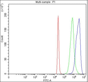 Flow cytometry testing of fixed and permeabilized human 293T cells with HAOX2 antibody at 1ug/millio