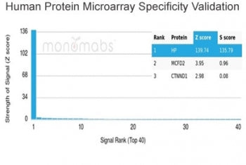 Haptoglobin Antibody