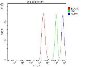 Flow Cytometry analysis of HepG2 cells using anti-SNX25 antibody. Overlay histogram showing HepG2 ce
