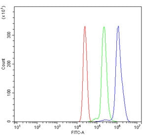 TLR4 Antibody