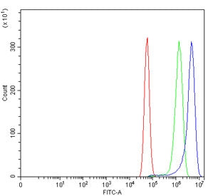 ADAM8 Antibody