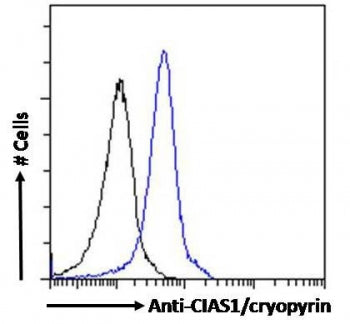FACS testing of fixed and permeabilized human U937 cells with NALP3 antibody (blue) at 10ug/10^6 cel