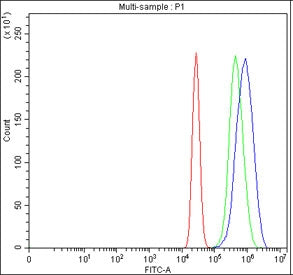 Flow cytometry testing of fixed and permeabilized human MCF7 cells with INTS12 antibody at 1ug/milli