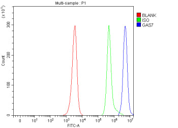 Flow Cytometry analysis of human JK cells using anti-GAS7 antibody. Overlay histogram showing JK cel