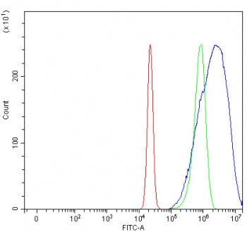 HPRT1 Antibody / HGPRTase