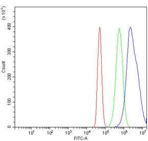 Flow cytometry testing of human A431 cells with RBM28 antibody at 1ug/million cells (blocked with go