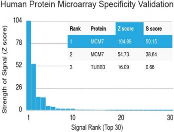 Protein array validation of the MCM7 antibody: Analysis of HuProt(TM) microarray containing more tha