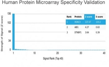 Analysis of HuProt(TM) microarray containing more than 19,000 full-length human proteins using HDAC3