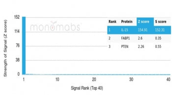 Analysis of a HuProt(TM) microarray containing >19,000 full-length human proteins using Interleukin-