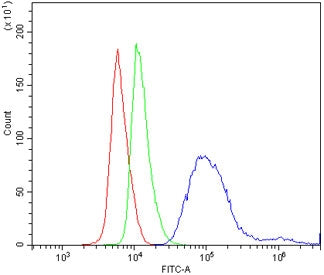 Cd31 Antibody / Pecam-1