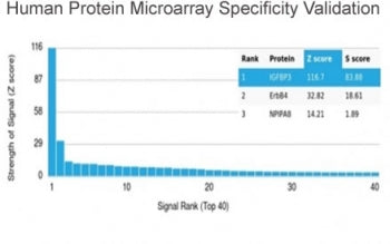 Analysis of HuProt(TM) microarray containing more than 19,000 full-length human proteins using IGFBP