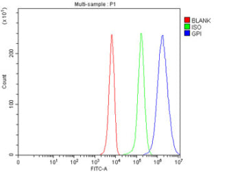 Flow cytometry testing of fixed and permeabilized human K562 cells with GPI antibody at 1ug/million 
