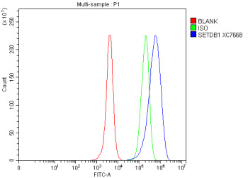 Flow Cytometry analysis of HeLa cells using anti-SETDB1 antibody. Overlay histogram showing HeLa cel