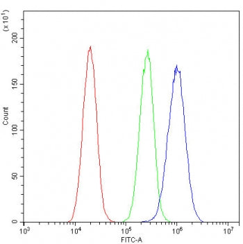 Flow cytometry testing of fixed and permeabilized human A549 cells with ROBO1 antibody at 1ug/millio
