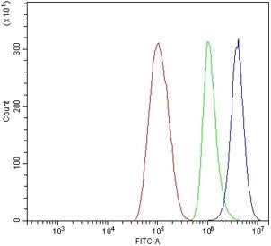 Flow cytometry testing of human ThP-1 cells with BMPR2 antibody at 1ug/million cells (blocked with g