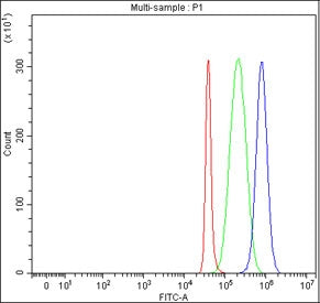 Flow cytometry testing of fixed and permeabilized human SH-SY5Y cells with Puratrophin 1 antibody at