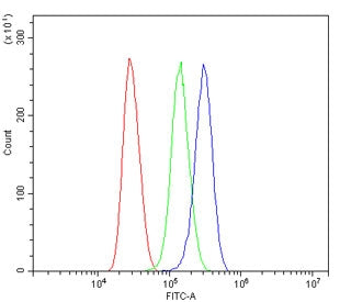 Arginase 1 Antibody