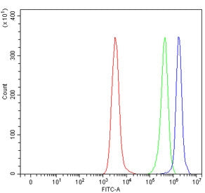 SLIT2 Antibody