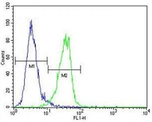 MeCP2 antibody flow cytometric analysis of MDA-MB435 cells (green) compared to a negative control (b