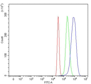 Flow cytometry testing of fixed and permeabilized human HepG2 cells with Lysozyme C antibody at 1ug/