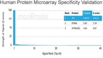 Analysis of HuProt(TM) microarray containing more than 19,000 full-length human proteins using PRL a