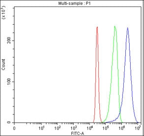 Flow cytometry testing of fixed human 293T cells with MFSD3 antibody at 1ug/million cells (blocked w