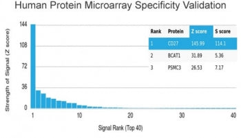 Analysis of HuProt(TM) microarray containing more than 19,000 full-length human proteins using CD27 
