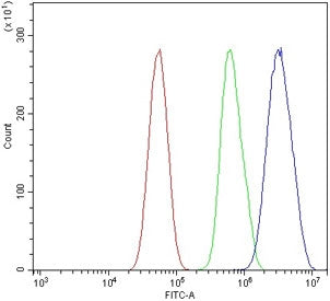 Flow cytometry testing of human U-87 MG cells with Myb-related protein A antibody at 1ug/million cel