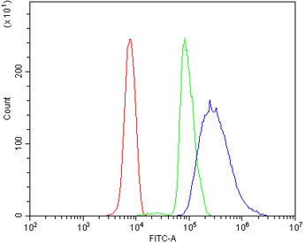 PIAS2 Antibody