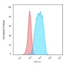 CD20 Antibody