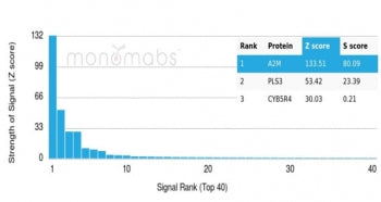 Analysis of a HuProt(TM) microarray containing more than 19,000 full-length human proteins using Alp