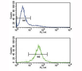 IL-10 Antibody