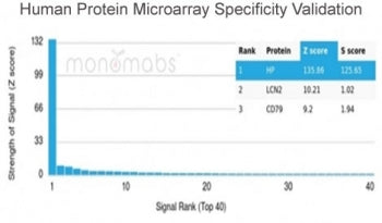 Haptoglobin Antibody
