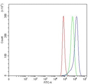 TGFBR3 Antibody / TGF beta Receptor III
