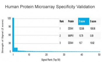 Analysis of HuProt(TM) microarray containing more than 19,000 full-length human proteins using DDX41