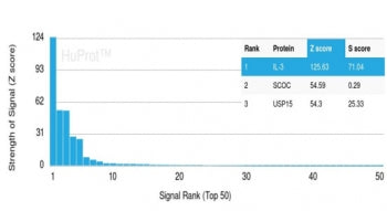 IL-3 Antibody