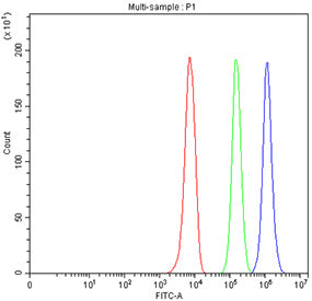 Flow cytometry testing of fixed human U937 cells with CD11b antibody at 1ug/million cells (blocked w