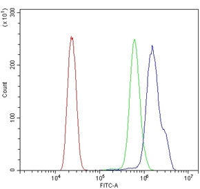 Flow cytometry testing of human HL60 cells with BRCA1 antibody at 1ug/million cells (blocked with go