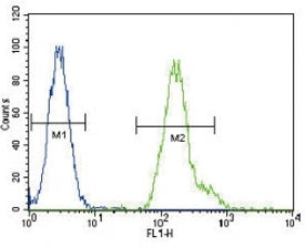 CEBPA antibody flow cytometric analysis of HeLa cells (green) compared to a negative control (blue). FITC-conjugated goat-anti-rabbit secondary Ab was used for the analysis.