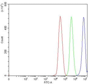 Flow cytometry testing of human 293T cells with DHX29 antibody at 1ug/million cells (blocked with go