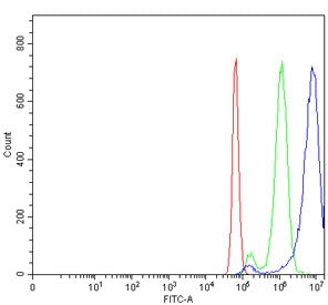 Flow cytometry testing of mouse Neuro-2a cells with ROR beta antibody at 1ug/million cells (blocked 