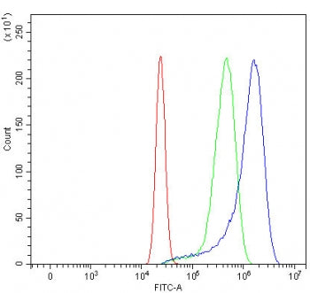 Fibroblast growth factor receptor 2 Antibody / FGFR2