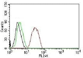 FACS testing of MCF-7 cells: Black=cells alone; Green=isotype control; Red=Estrogen Receptor beta an